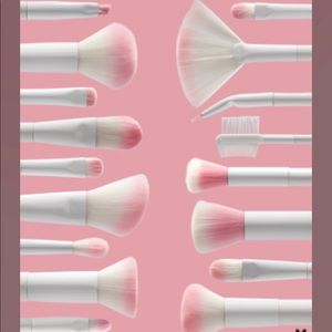 17 brushes Brand New